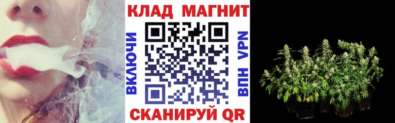 APVP Железноводск