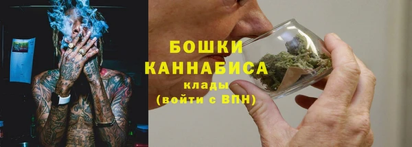 2c-b Гусиноозёрск