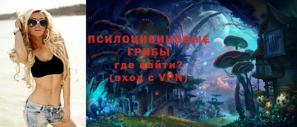 соль курить ск Гусь-Хрустальный