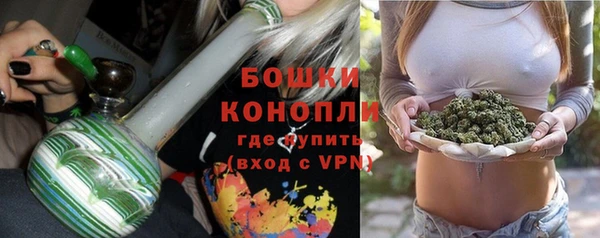 2c-b Гусиноозёрск