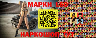 дмт Бийск